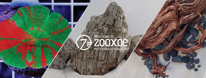 Zooxae Picture 10