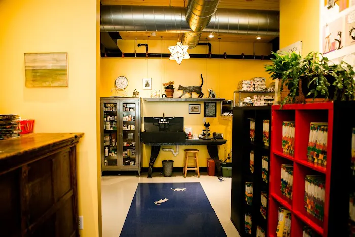 City Kitty Veterinary Care for Cats Picture 9