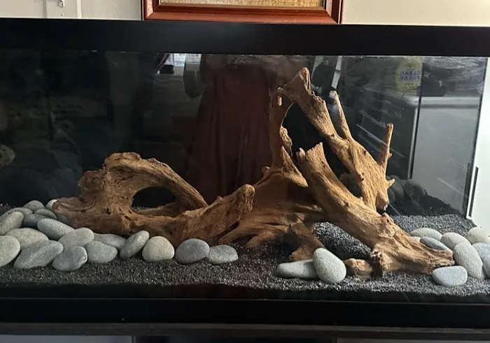 SR Aquaristik Picture 6