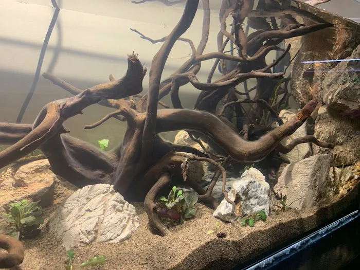 SR Aquaristik Picture 7