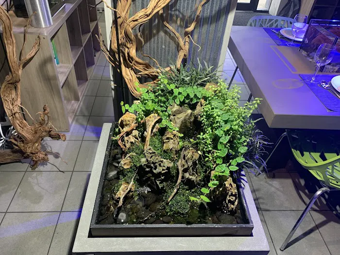 SR Aquaristik Picture 4