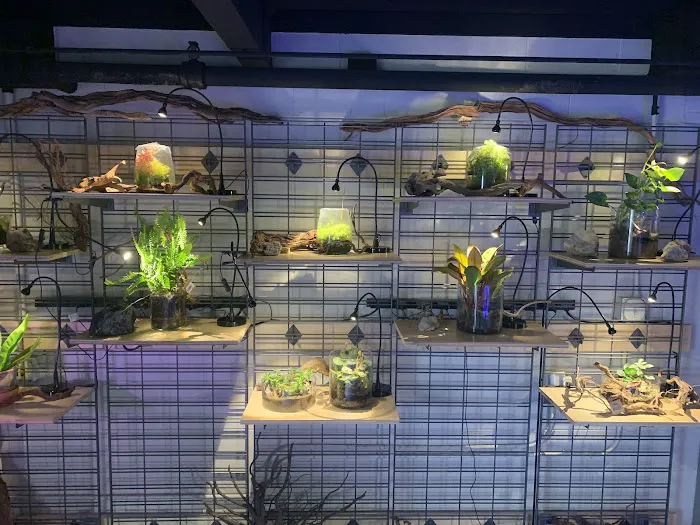SR Aquaristik Picture 3