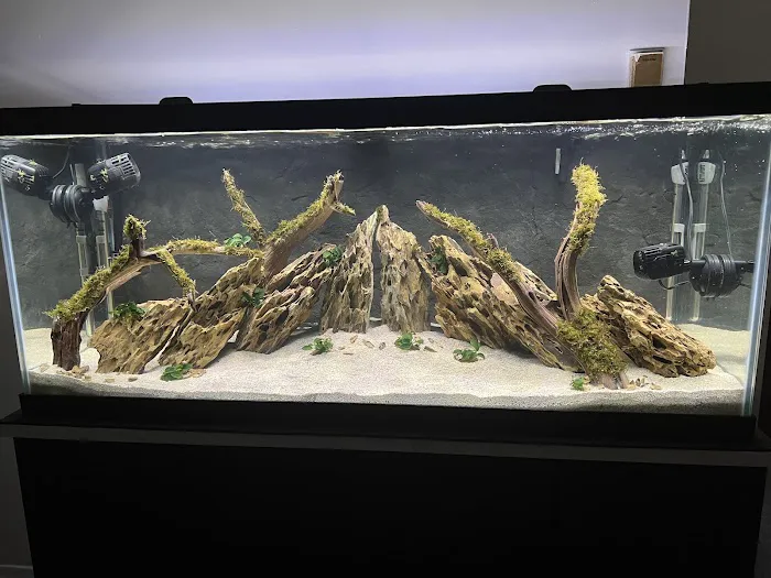 SR Aquaristik Picture 9