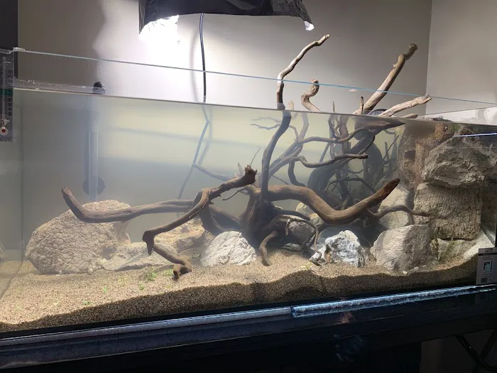 SR Aquaristik Picture 2