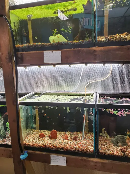 Great Lakes Aquarium House Picture 1