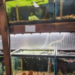 Great Lakes Aquarium House