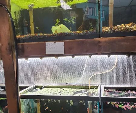 Great Lakes Aquarium House