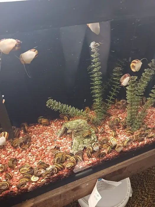 Great Lakes Aquarium House Picture 5