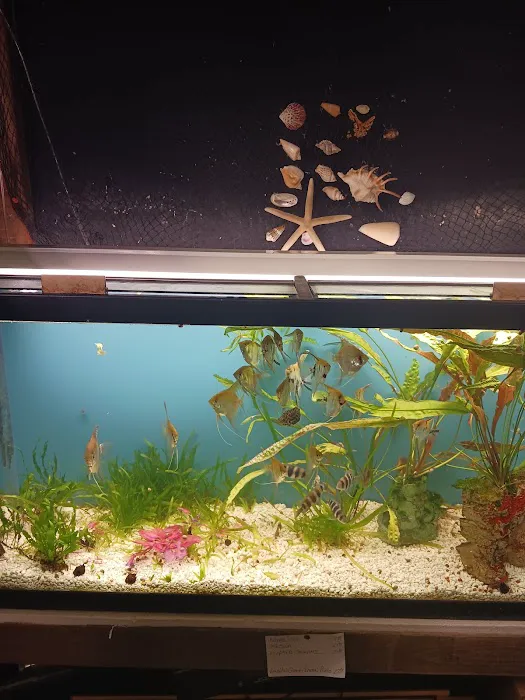 Great Lakes Aquarium House Picture 8