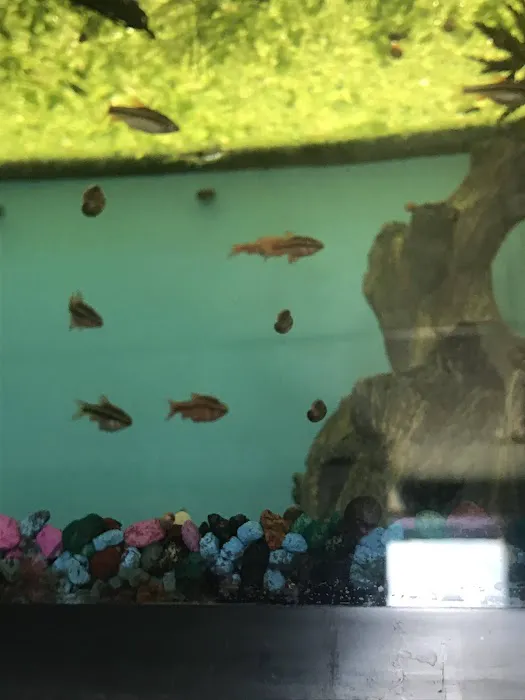 Great Lakes Aquarium House Picture 7