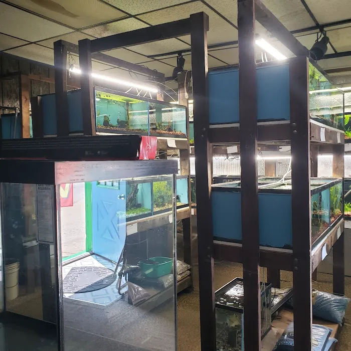 Great Lakes Aquarium House Picture 10