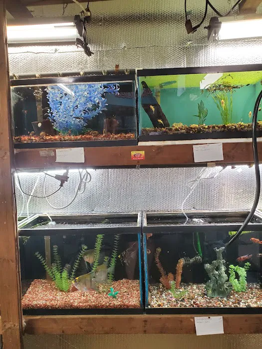 Great Lakes Aquarium House Picture 3