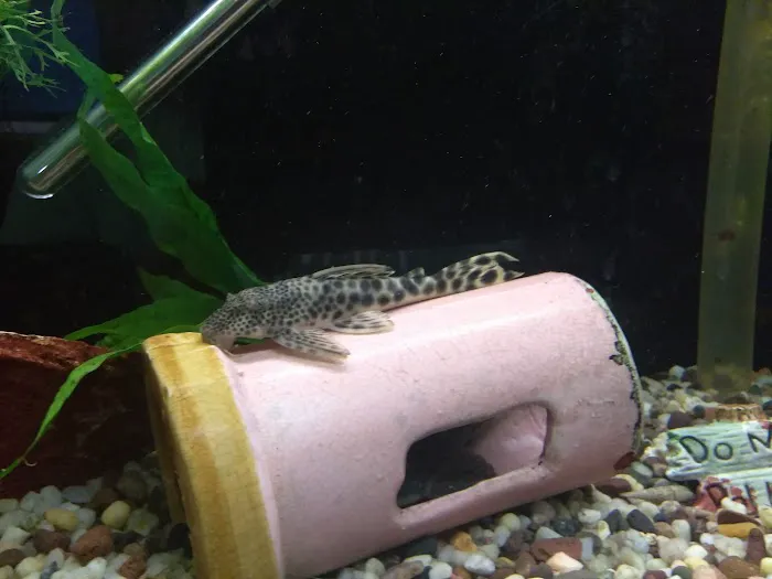 Great Lakes Aquarium House Picture 4