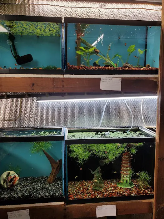 Great Lakes Aquarium House Picture 2