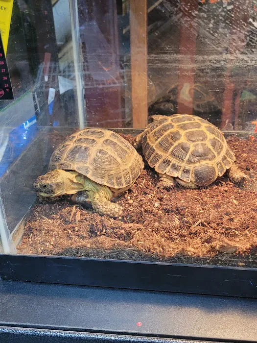 Exotic Aquatics and Pets Picture 4