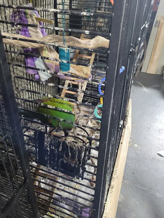 Exotic Aquatics and Pets Picture 3