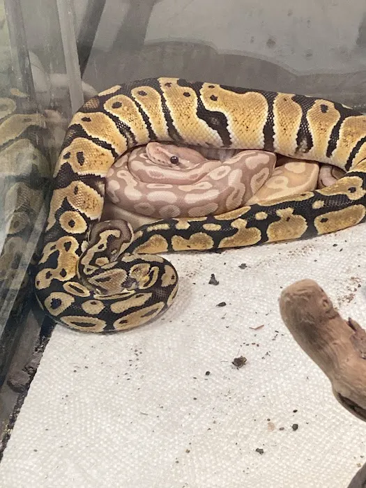 Exotic Aquatics and Pets Picture 8