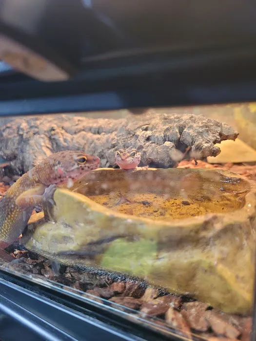 Exotic Aquatics and Pets Picture 1