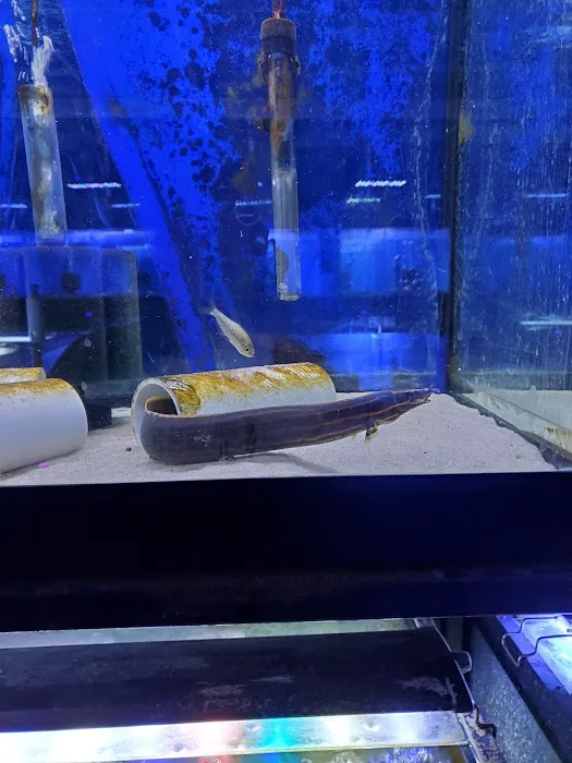 Exotic Aquatics and Pets Picture 6