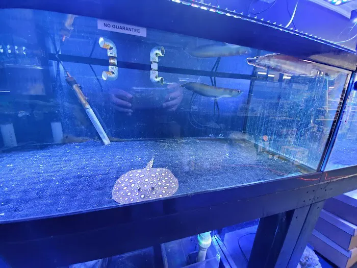 Exotic Aquatics and Pets Picture 2