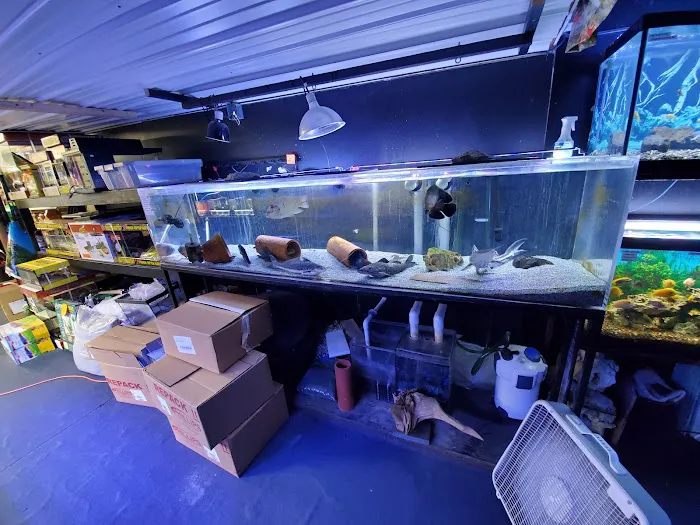 Exotic Aquatics and Pets Picture 10