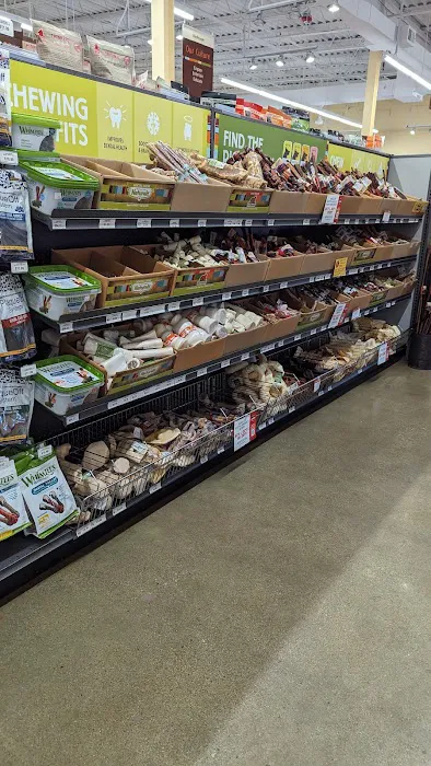 Hollywood Feed Picture 5