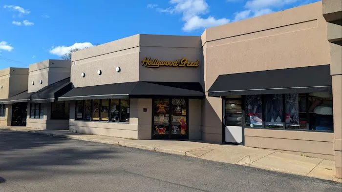 Hollywood Feed Picture 9