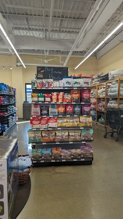 Hollywood Feed Picture 4