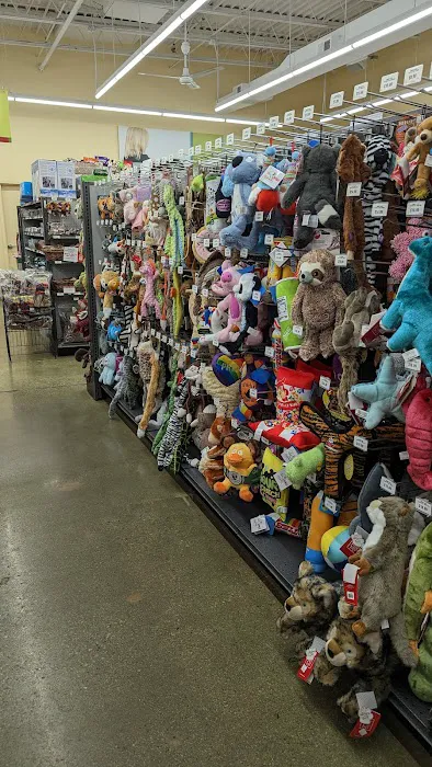 Hollywood Feed Picture 7