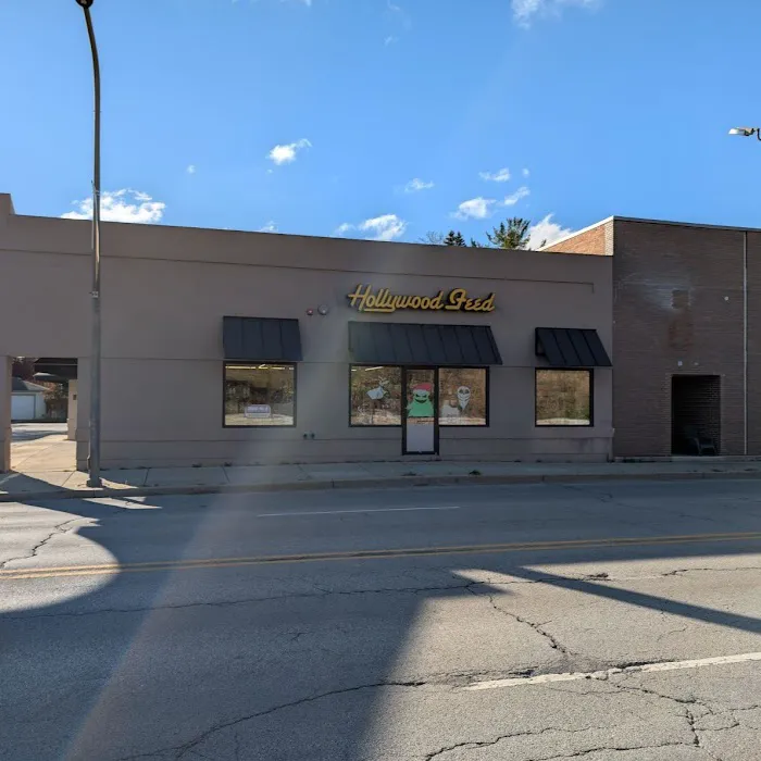 Hollywood Feed Picture 10