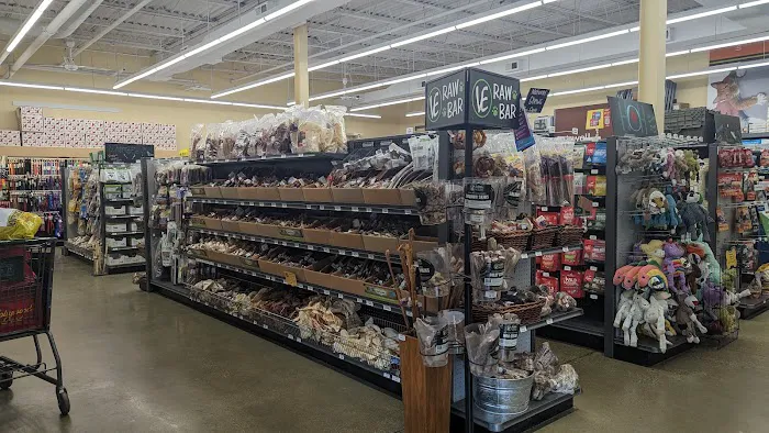 Hollywood Feed Picture 2