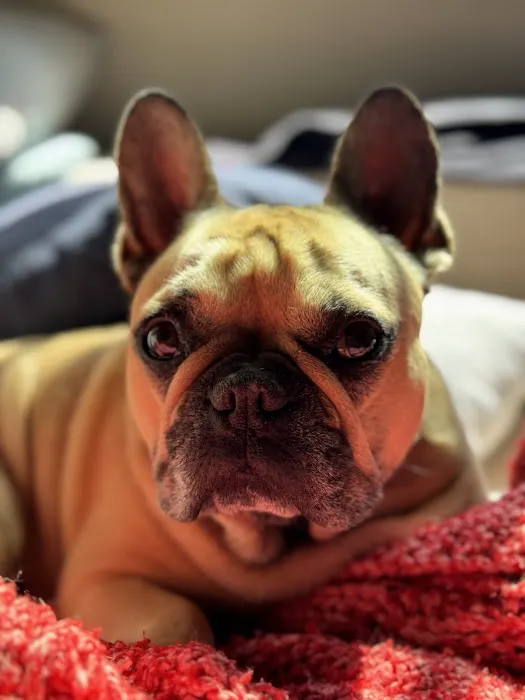 Bayside Veterinary Care Picture 1