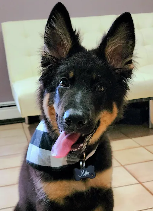 Bayside Veterinary Care Picture 10