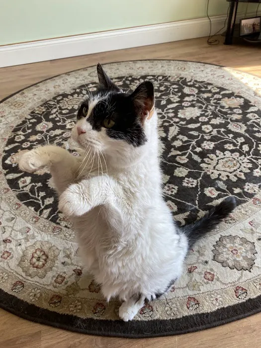 Bayside Veterinary Care Picture 9