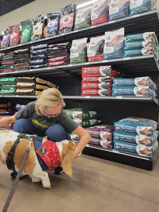 Hollywood Feed Picture 7