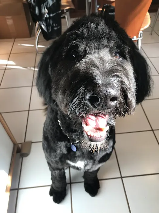 Hollywood Feed Picture 6