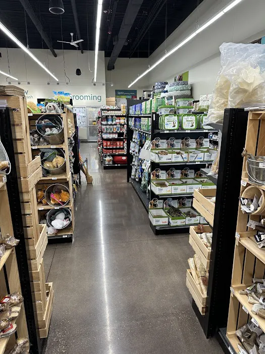 Hollywood Feed Picture 5