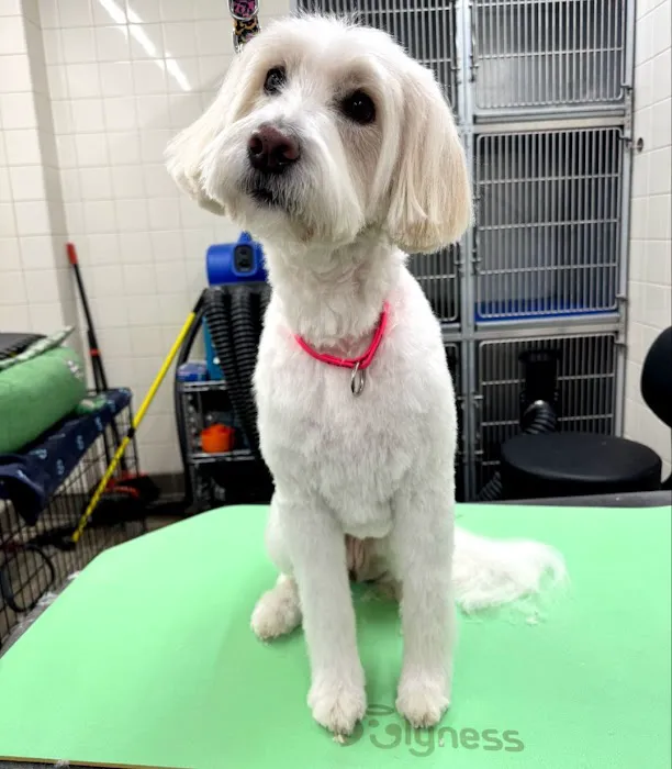 Hollywood Feed Picture 1