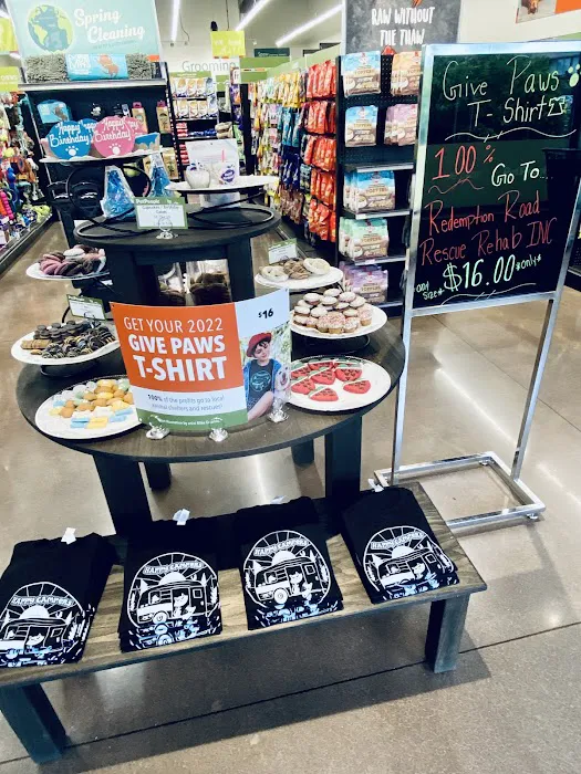 Hollywood Feed Picture 3