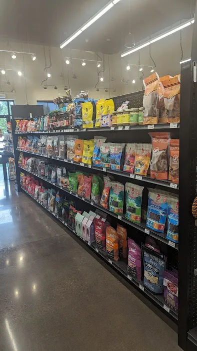 Hollywood Feed Picture 4