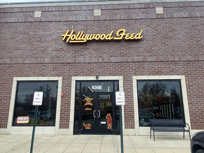 Hollywood Feed Picture 10