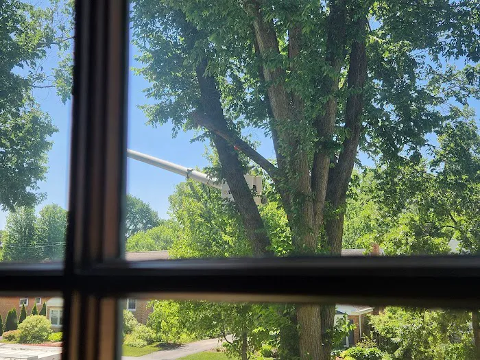 The Pug Penpal Project Picture 1