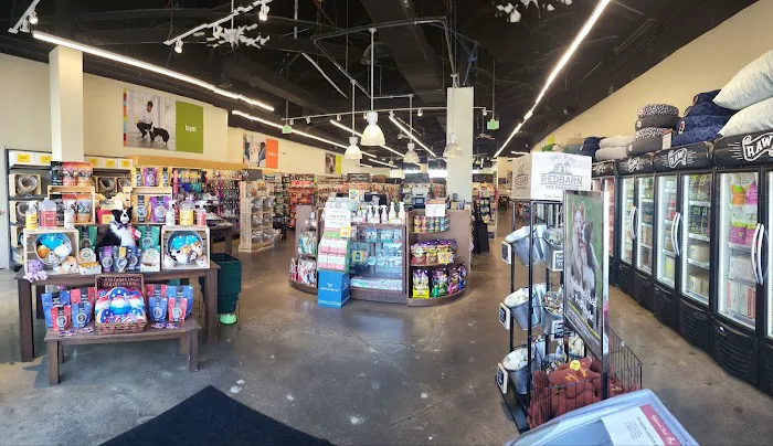 Hollywood Feed Picture 4