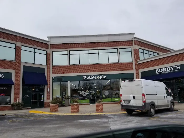 Hollywood Feed Picture 5