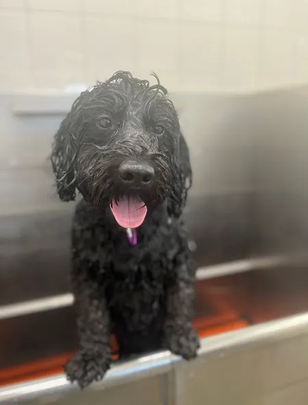 Hollywood Feed Picture 1