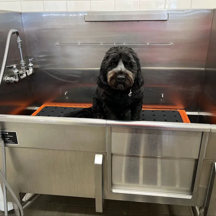 Hollywood Feed Picture 7