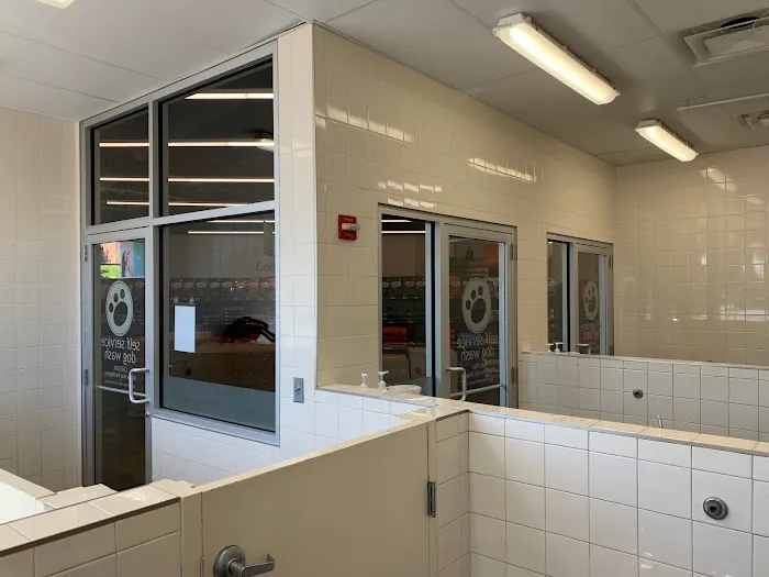 Hollywood Feed Picture 6