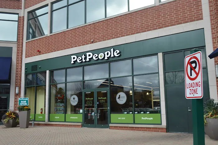 Hollywood Feed Picture 2