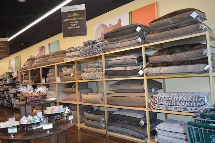 Hollywood Feed Picture 10