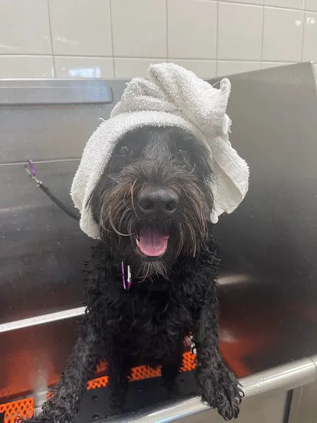 Hollywood Feed Picture 9